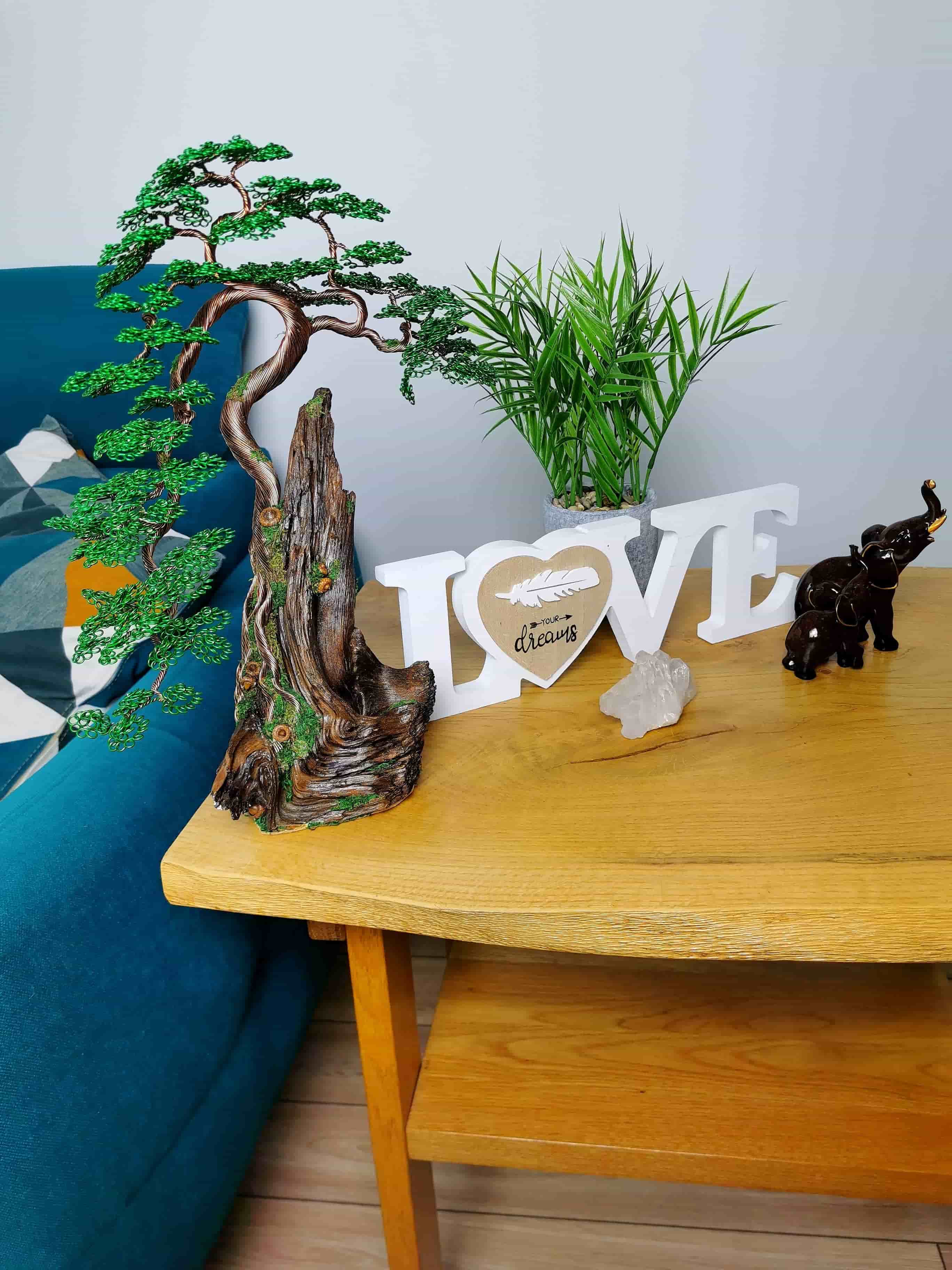 Bonsai do wnętrz, Zielone drzewko na drewnie, love