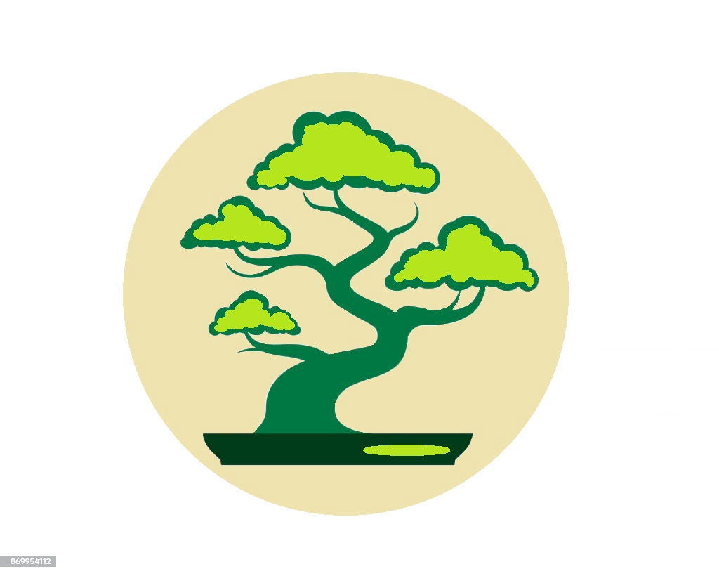 Galeria ręcznie robionych drzewek bonsai zdjęcie drzewka bonsai