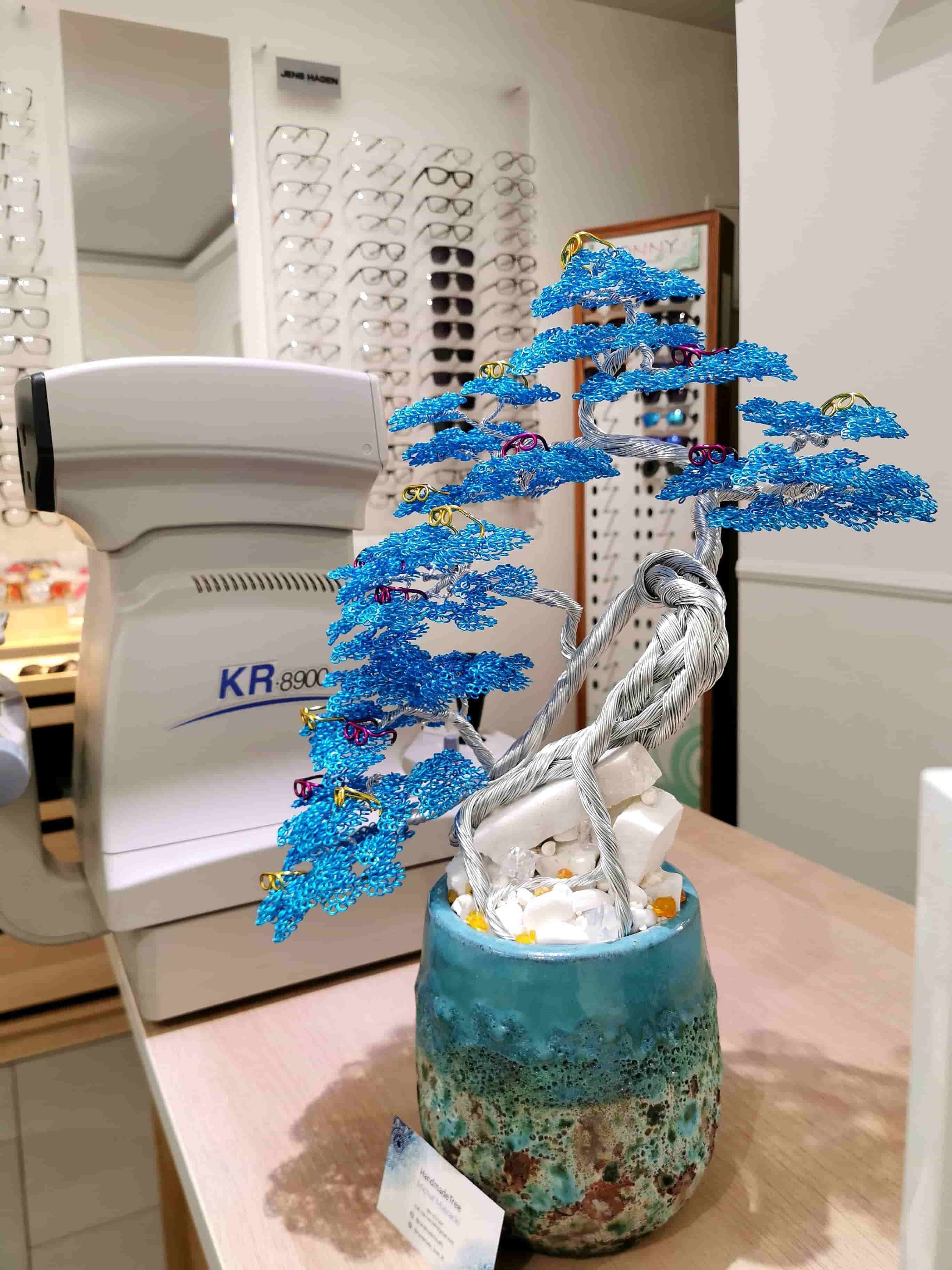 salon optyczny dekoracje, bonsai w doniczce ceramicznej, okulary.