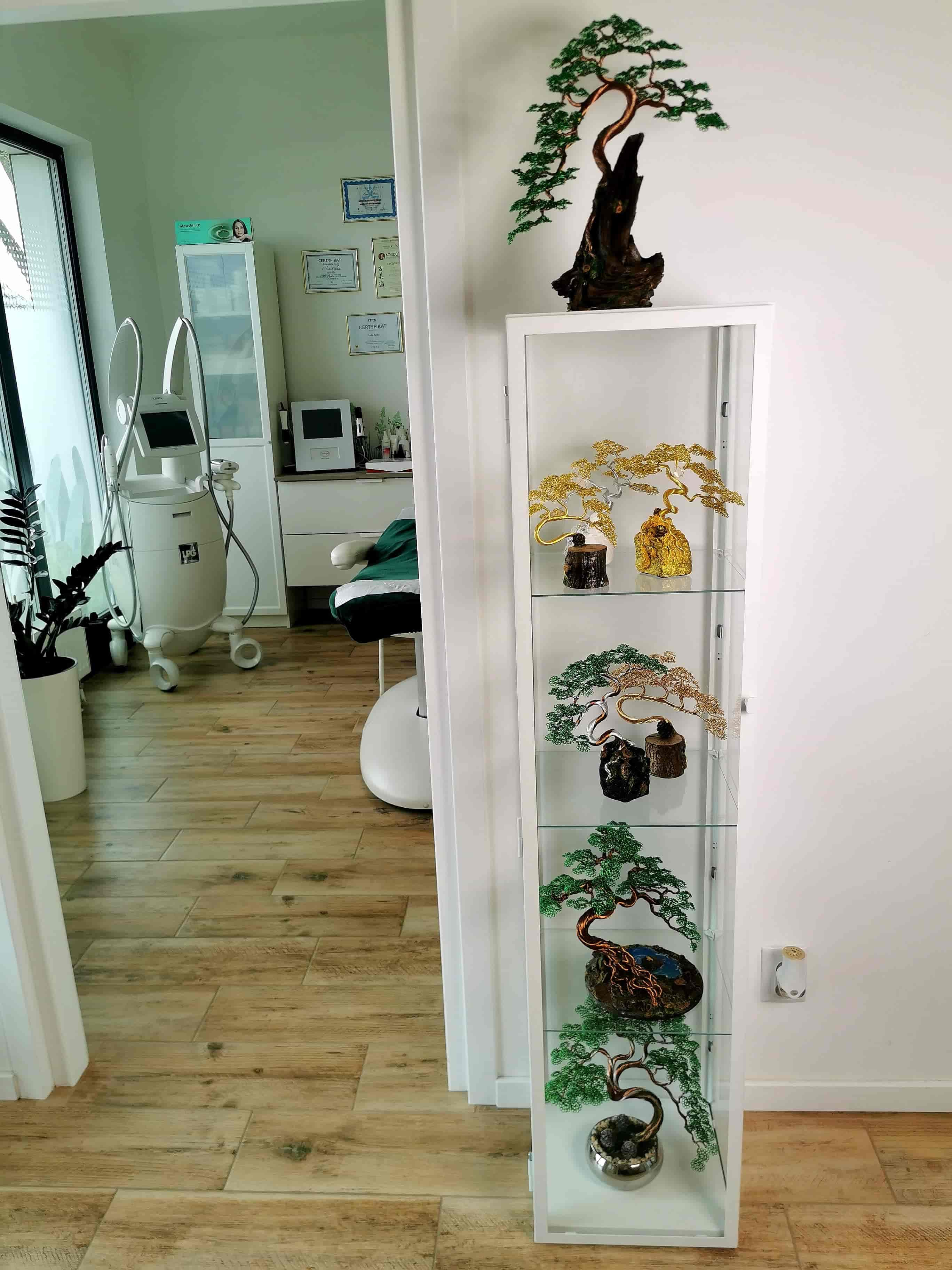 Zielono brązowe bonsai, feng shui, przynosi bogactwo