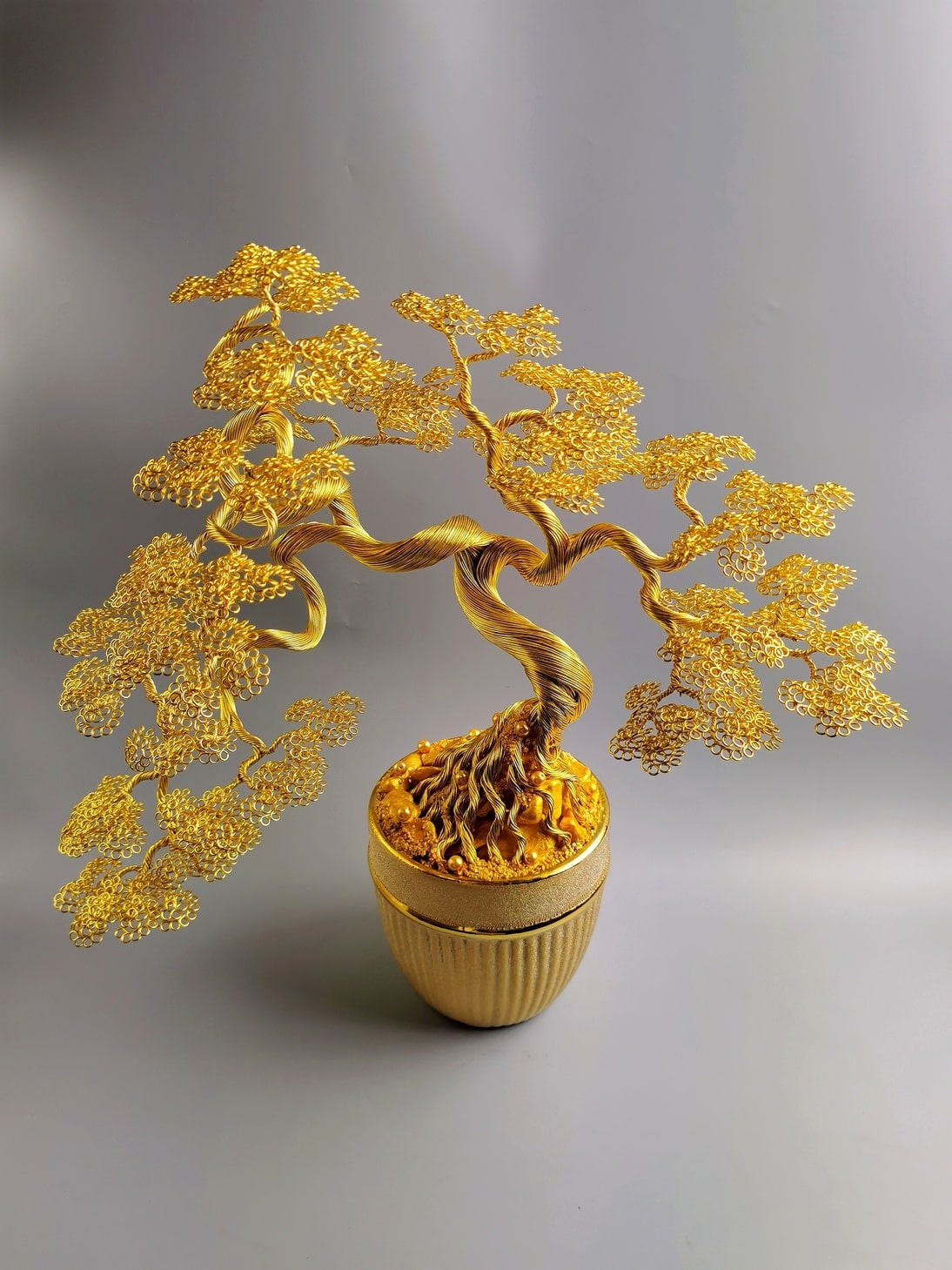 Bonsai na bogactwo, pieniądze, złote drzewko