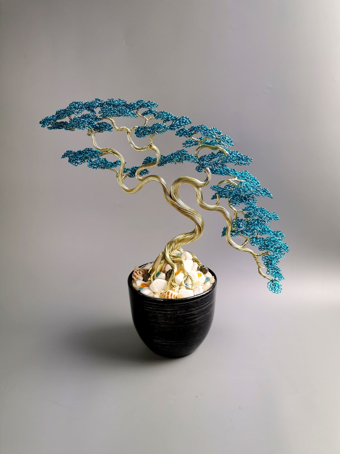 Bonsai na prezent, drzewko na urodziny, ceramiczna czarna doniczka