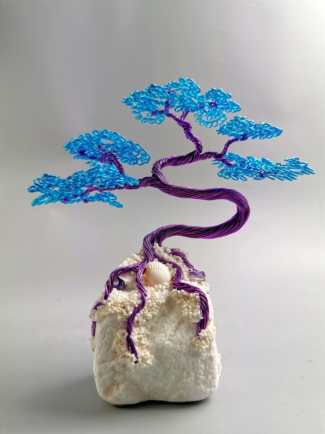 mini bonsai, fiolet, niebieski
