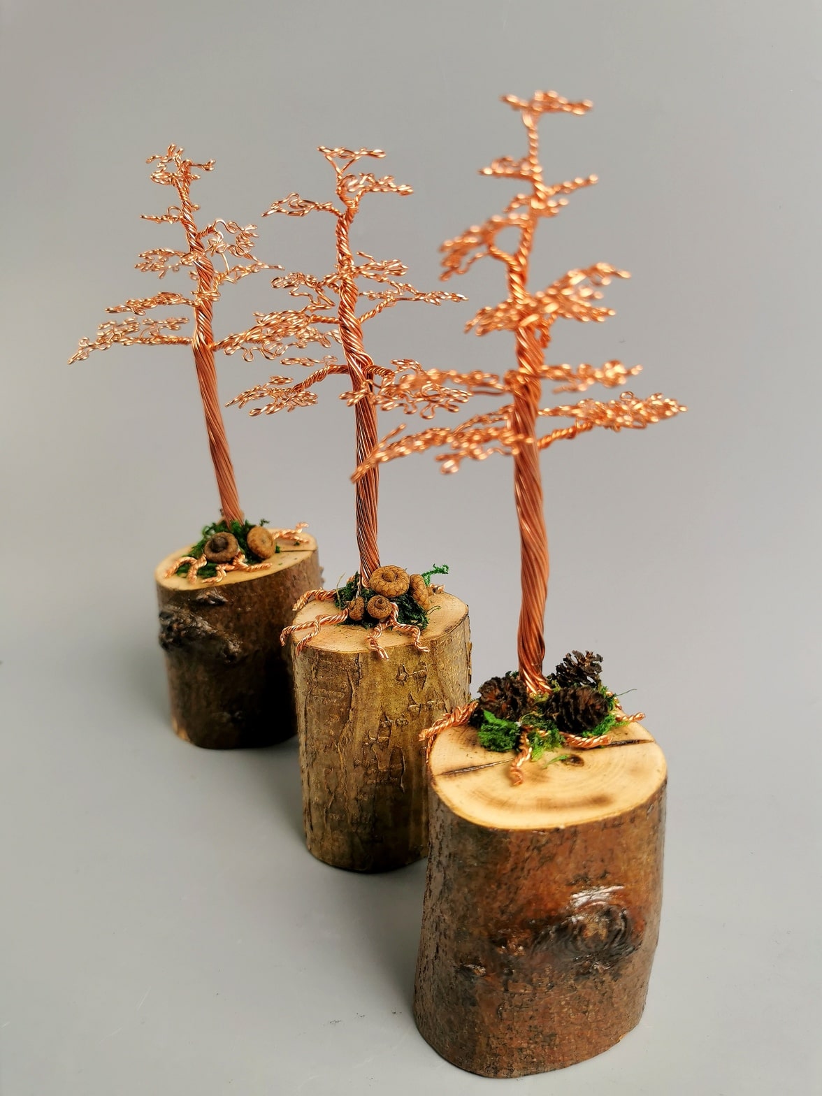 Miedziane drzewka bonsai