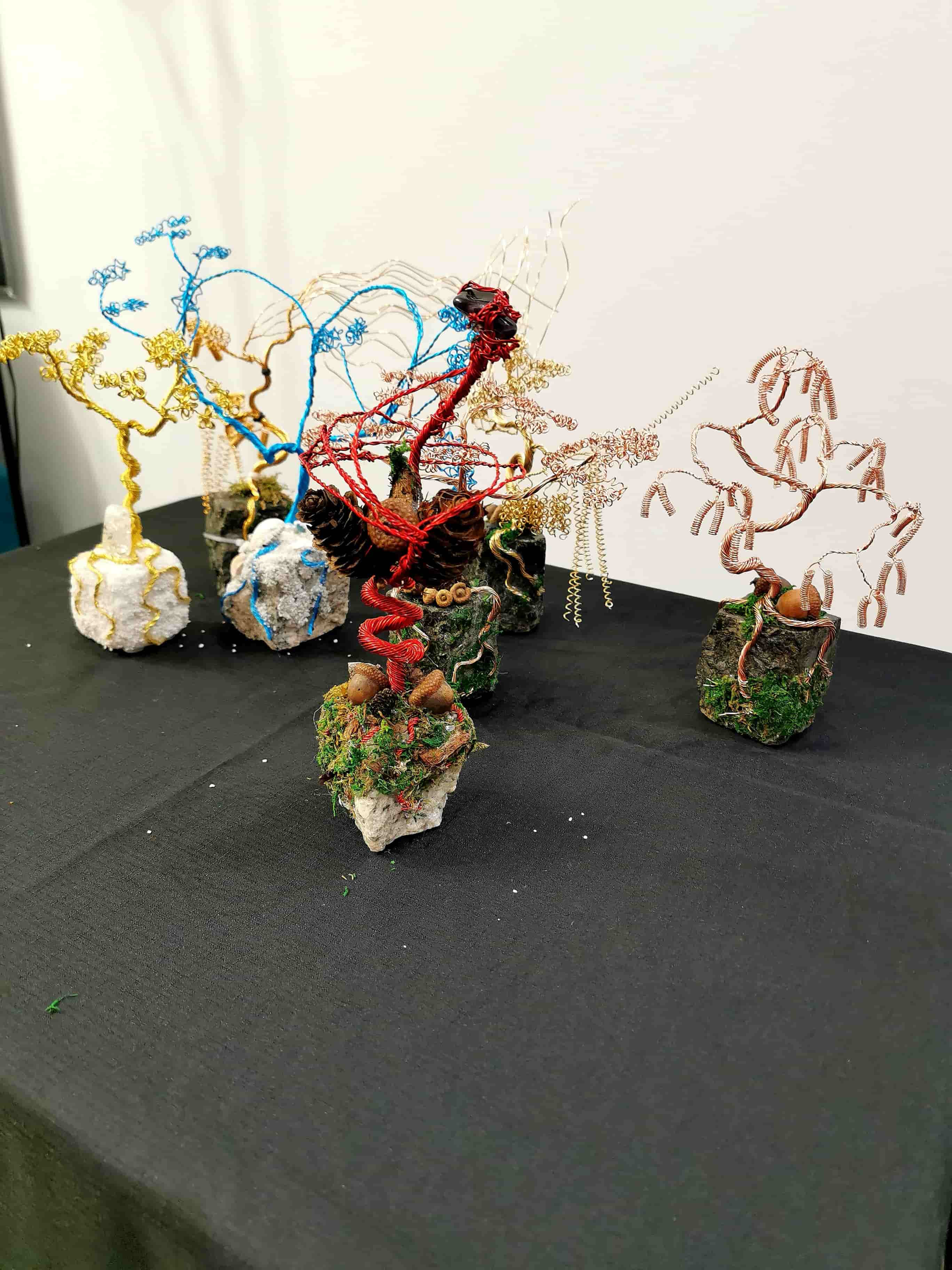 warsztaty z rękodzieła Warszawa, zrób własne drzewko bonsai